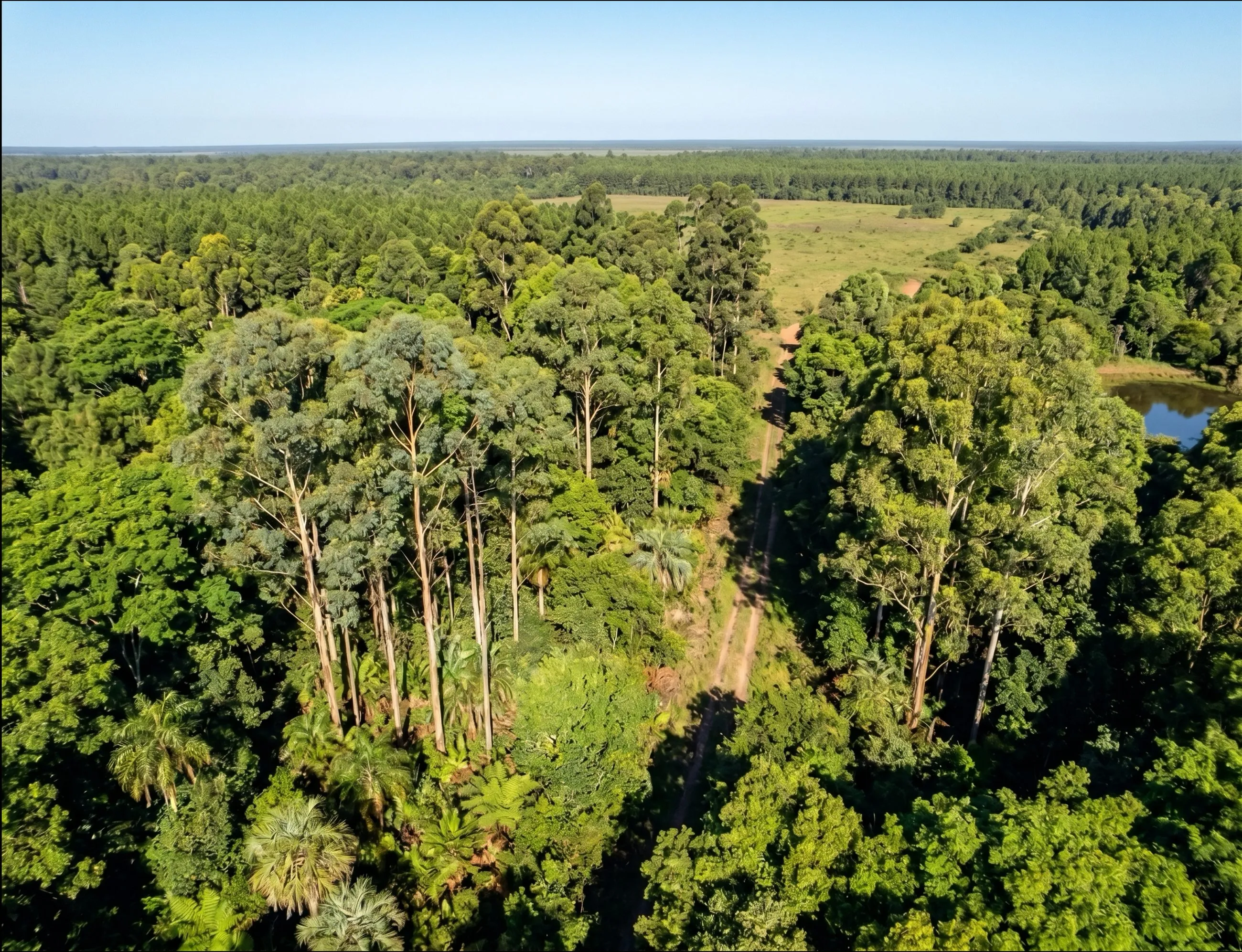 Proyecto Yvirá Payé