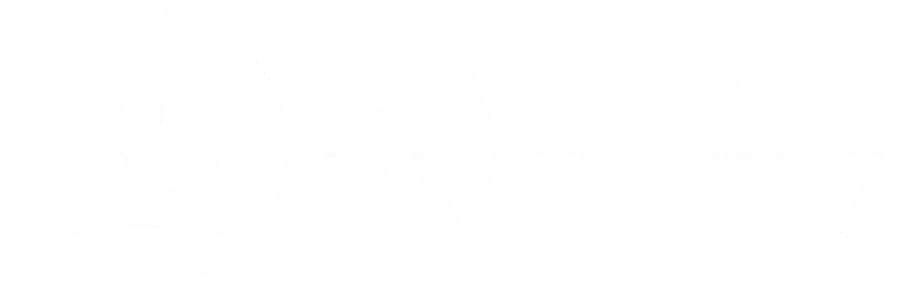 BS Capital Partners